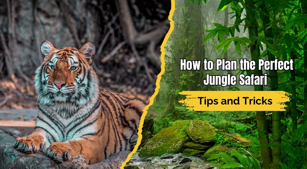 How to Plan the Perfect Jungle Safari: Tips and Tricks