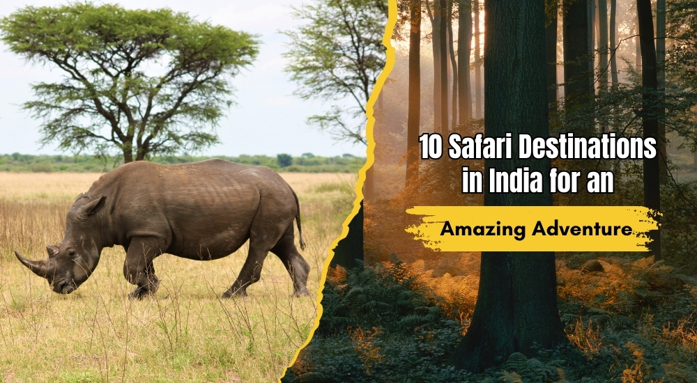 10 Safari Destinations in India