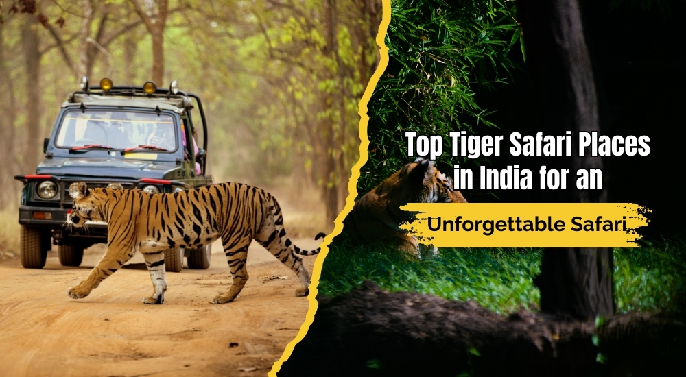 Best Tiger Safari Places in India